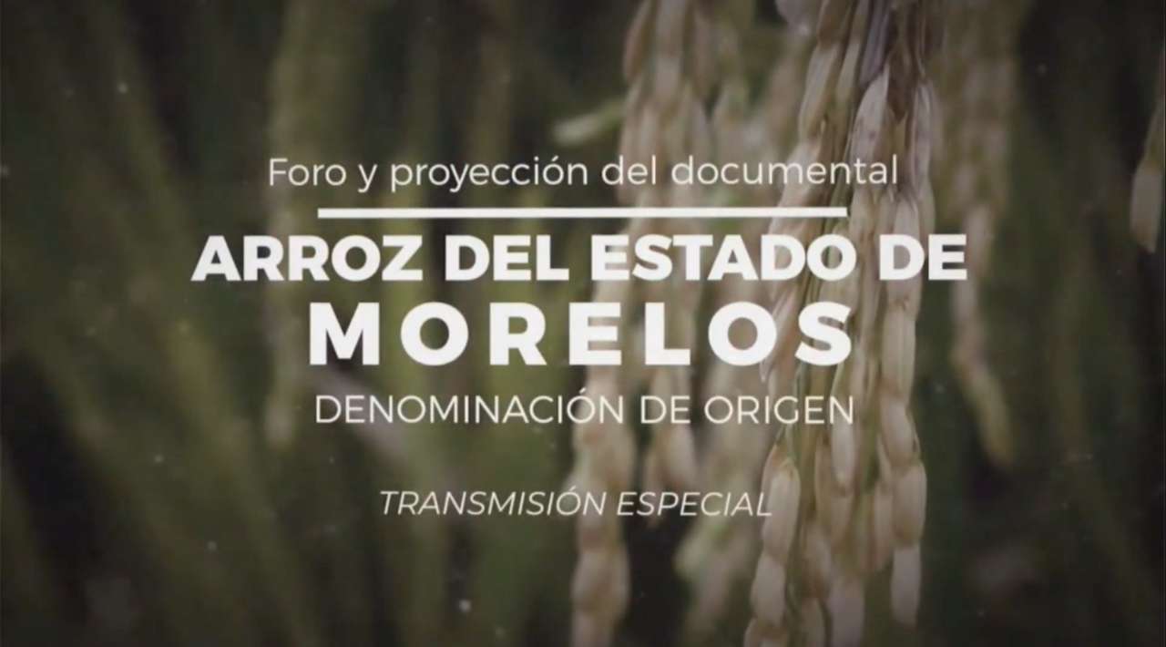 Foro y proyección del documental: Arroz del Estado de Morelos, denominación de origen